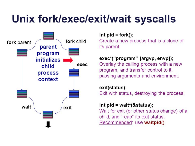 fork exec exit wait